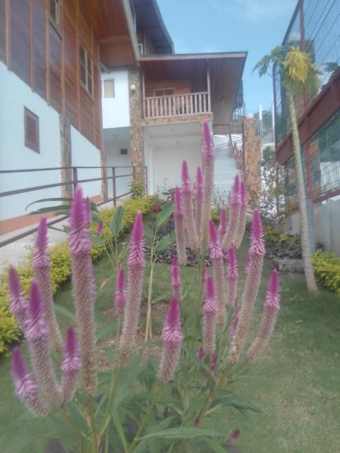 Domus Guesthouse Santana المظهر الخارجي الصورة